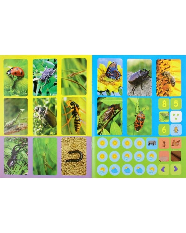 Насекомые в наклейках