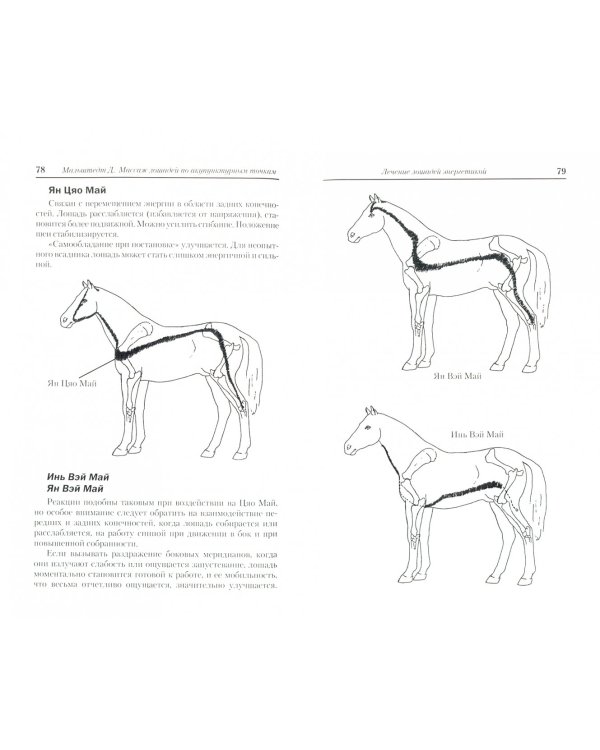 Массаж лошадей по акупунктурным точкам. Поддержание формы и здоровья лошади