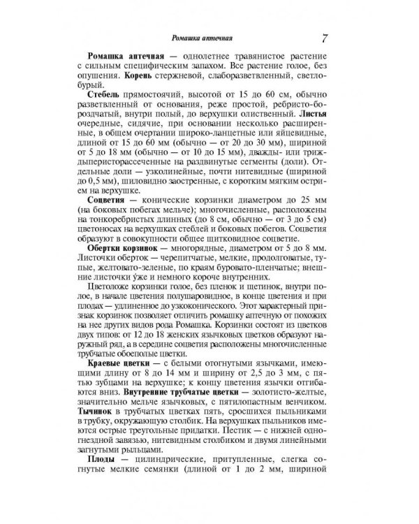 Целебная ромашка