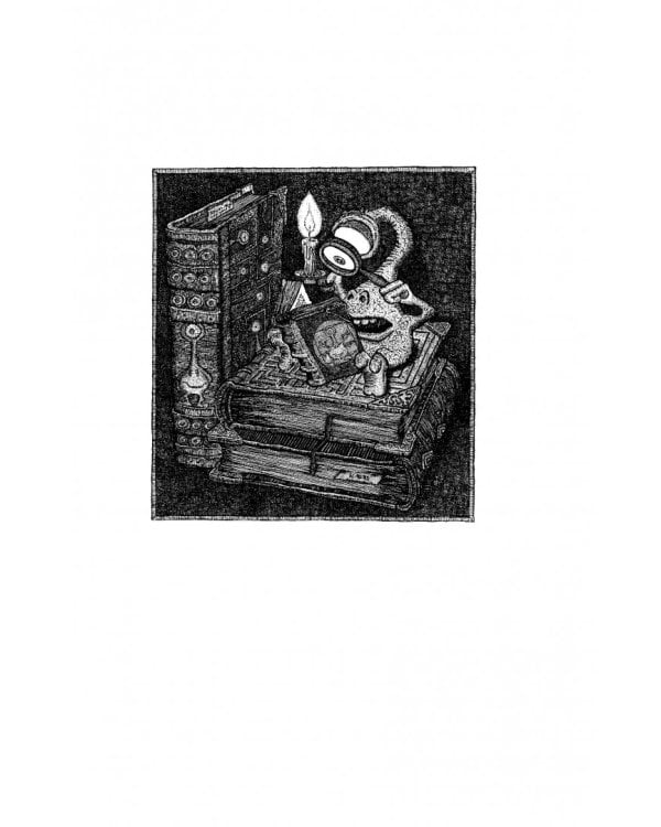 Лабиринт Мечтающих Книг