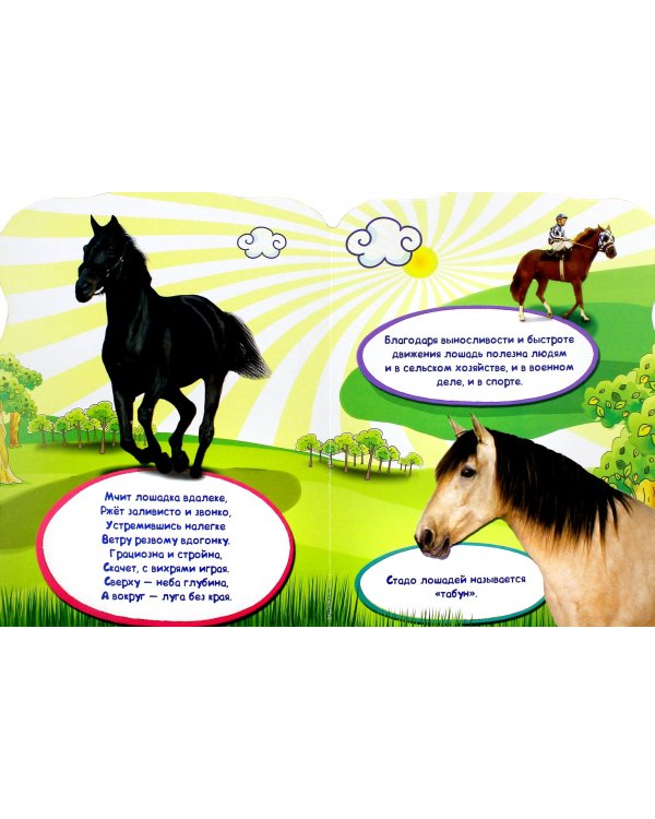 Домашние животные