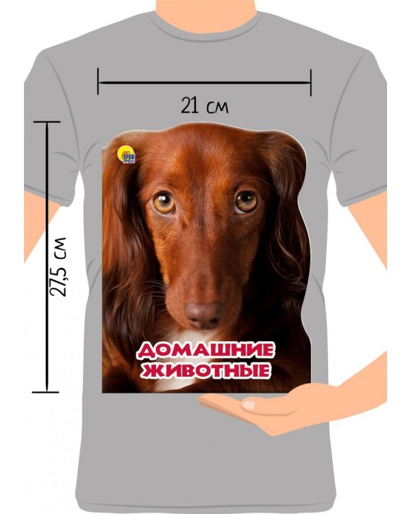 Домашние животные