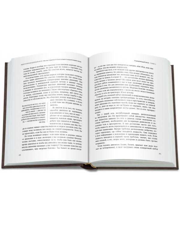 Идиотский бесценный мозг. Как мы поддаемся на все уловки и хитрости нашего мозга