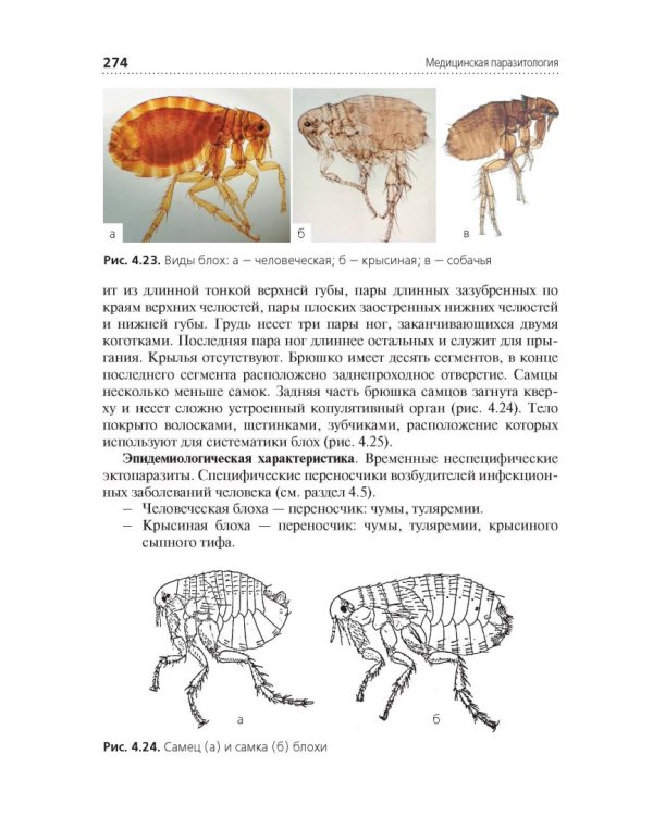 Медицинская паразитология. Учебник