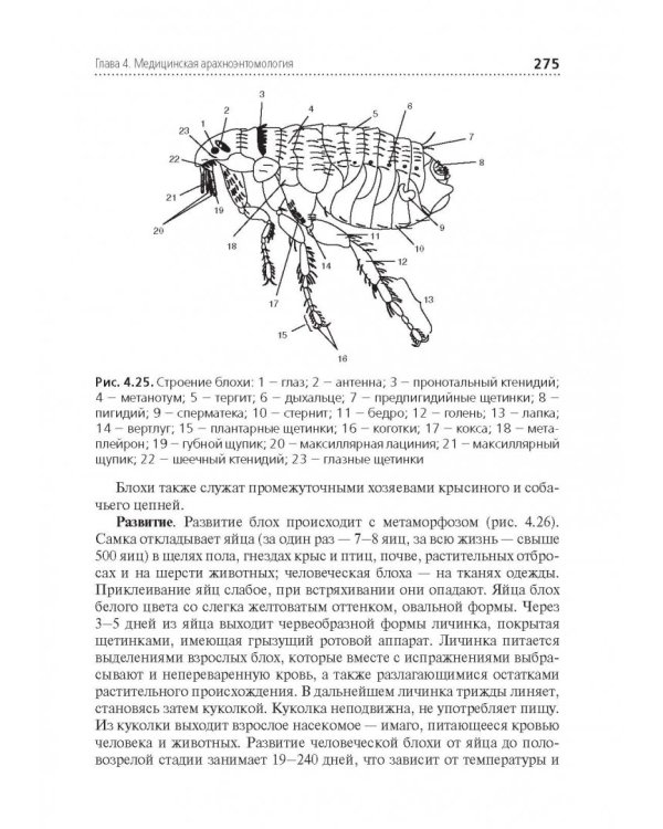 Медицинская паразитология. Учебник