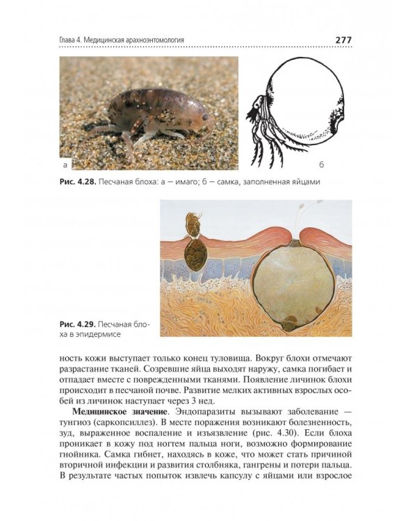 Медицинская паразитология. Учебник