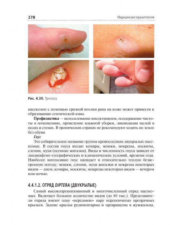 Медицинская паразитология. Учебник