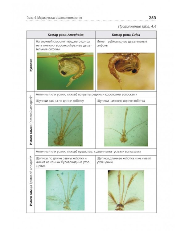 Медицинская паразитология. Учебник