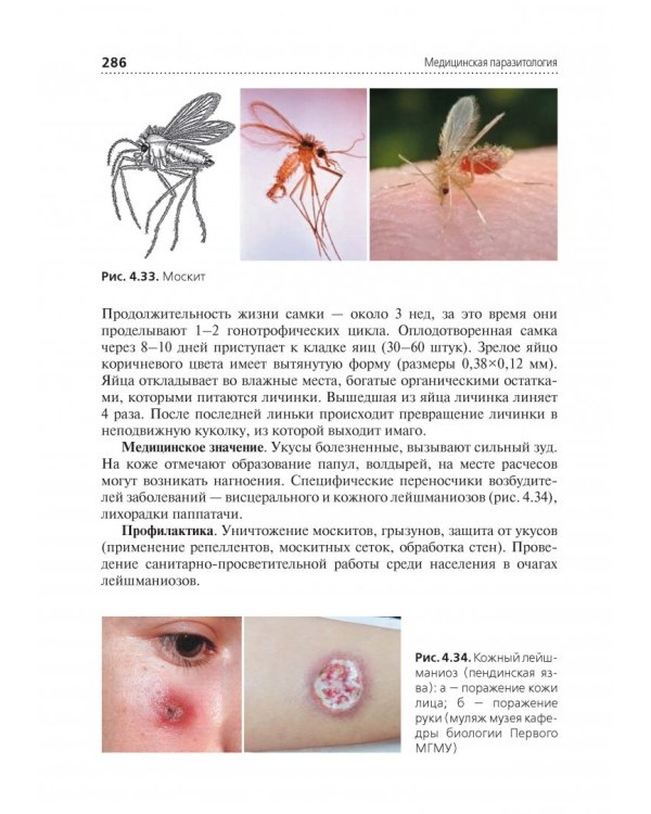 Медицинская паразитология. Учебник