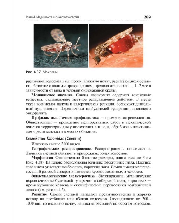 Медицинская паразитология. Учебник