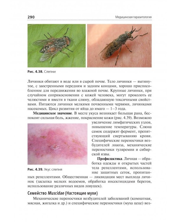 Медицинская паразитология. Учебник