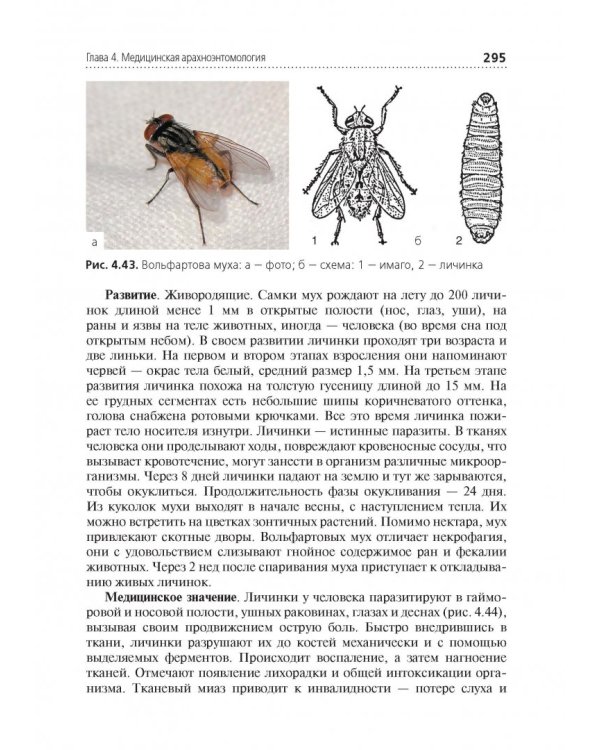 Медицинская паразитология. Учебник