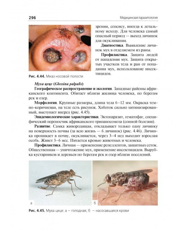 Медицинская паразитология. Учебник