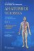 Анатомия человека. Учебник в 2 томах. Том 2. Нервная система. Сосудистая система