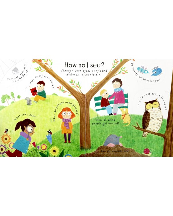 Lift-the-Flap First Questions &amp; Answers How Do I See? Board book