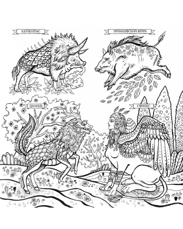 Фантастические существа. Книга-раскраска