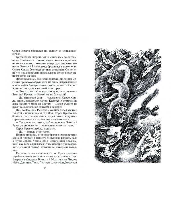 Солнечный путь