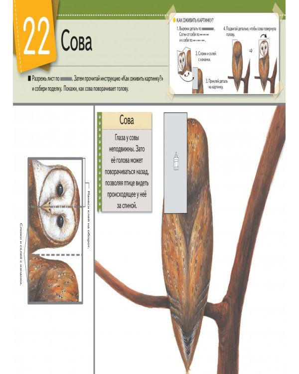 Kumon. Оживи картинку! Животные