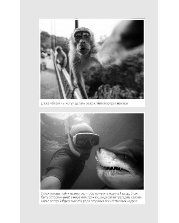 Фотография. Для тех, кто хочет все успеть