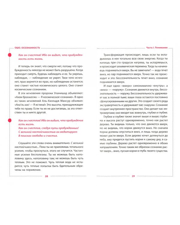 Осознанность. Ключ к жизни в равновесии