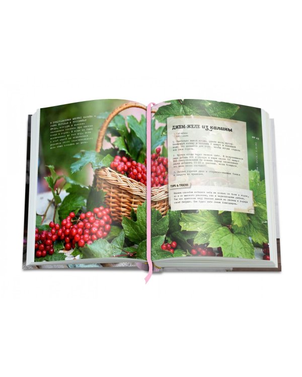 Вкусный Понедельник. Не только джем. Большая книга о варенье, соленьях, заготовках  