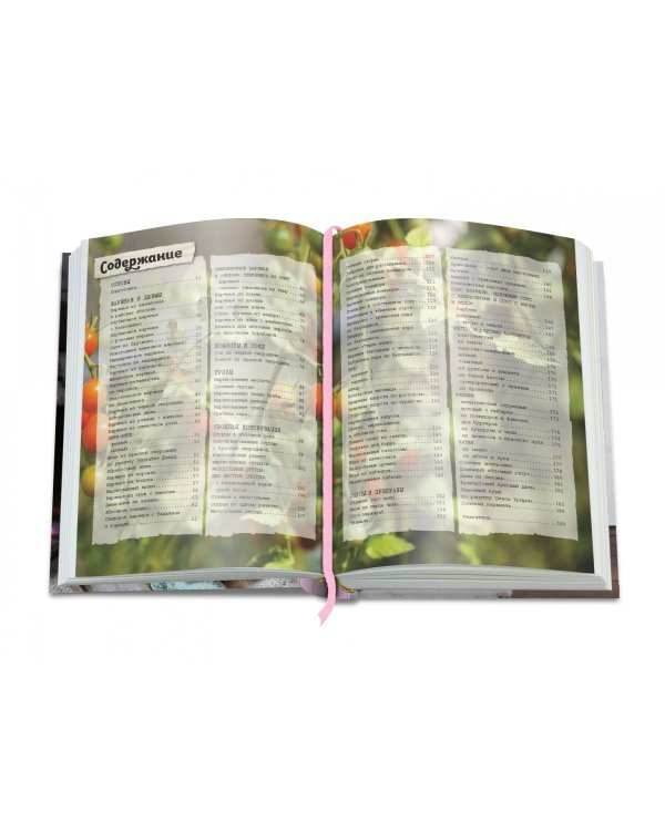 Вкусный Понедельник. Не только джем. Большая книга о варенье, соленьях, заготовках  