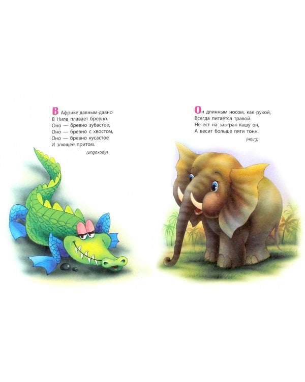 Загадки-отгадки