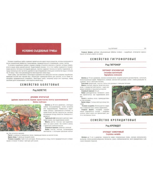 Грибы. Полная иллюстрированная энциклопедия