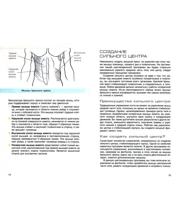Потрясающий пресс за 6 недель