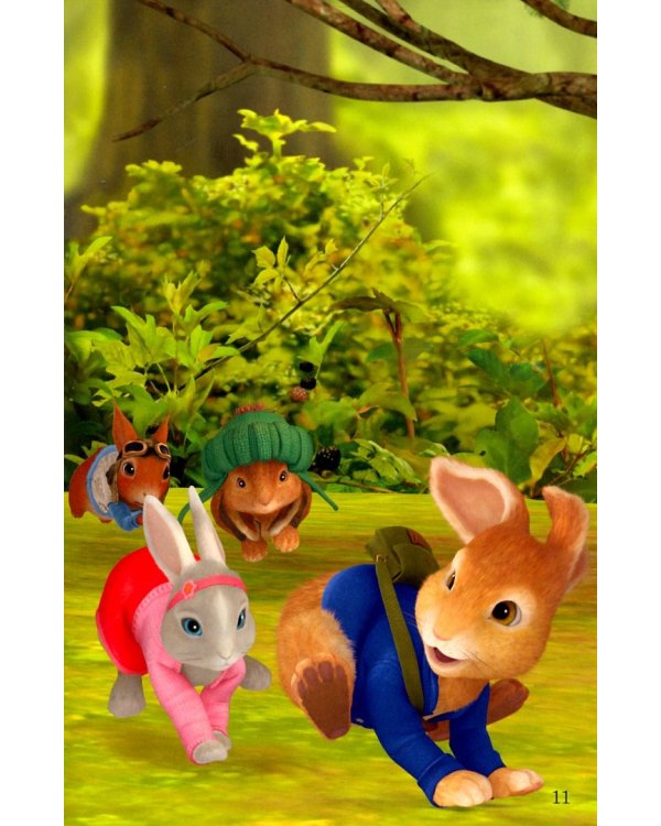 Peter Rabbit and the Angry Owl