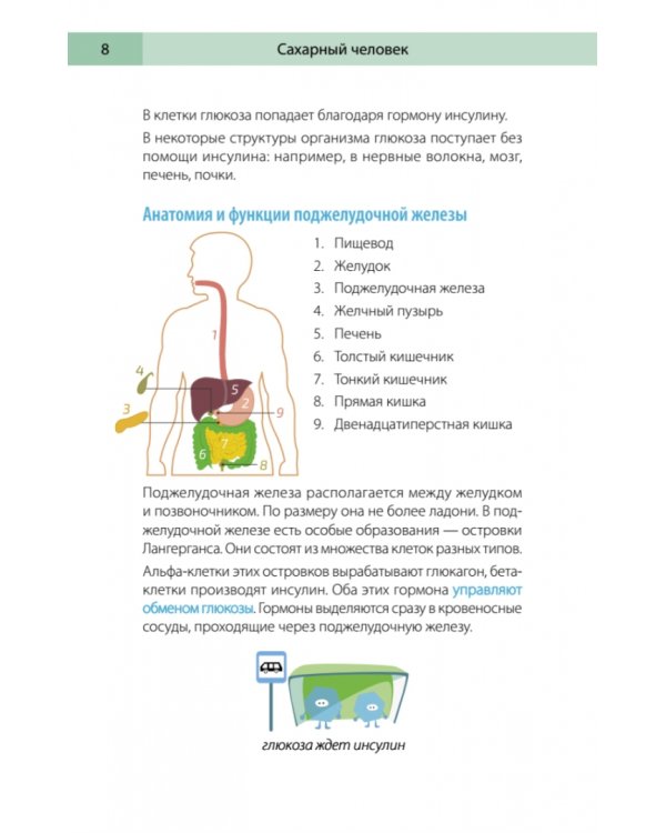 Сахарный человек. Все, что вы хотели знать о сахарном диабете 1-го типа