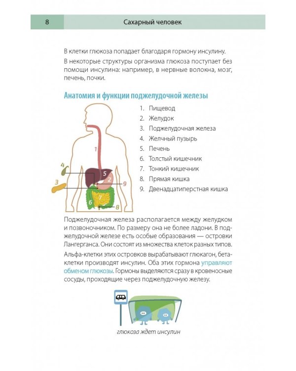 Сахарный человек. Все, что вы хотели знать о сахарном диабете 1-го типа