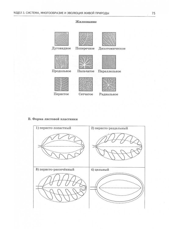 ОГЭ. Биология. Большой сборник тематических заданий для подготовки к ОГЭ