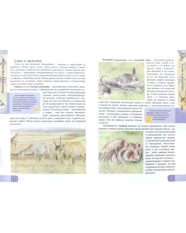 Животный мир России