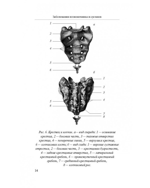 Заболевания позвоночника и суставов