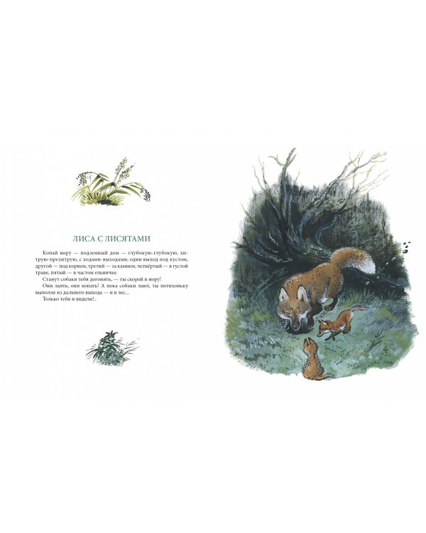 Большие и маленькие