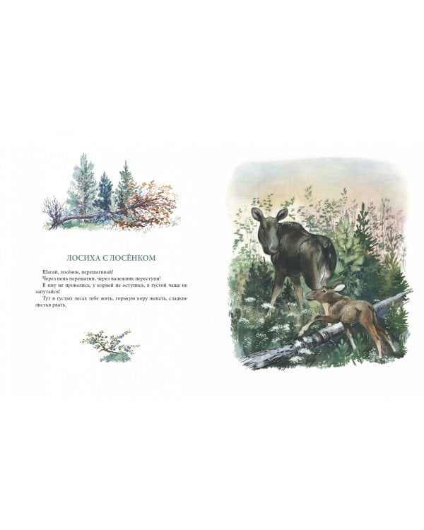 Большие и маленькие