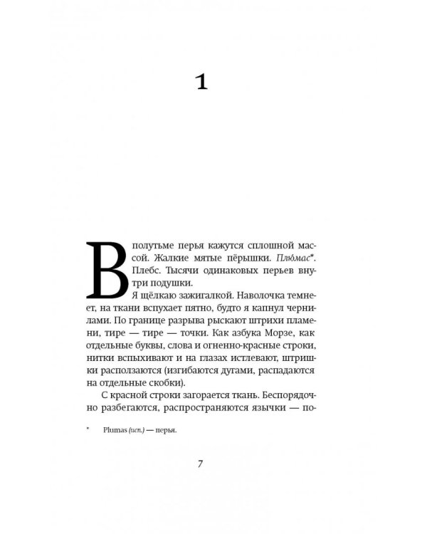 Принц инкогнито