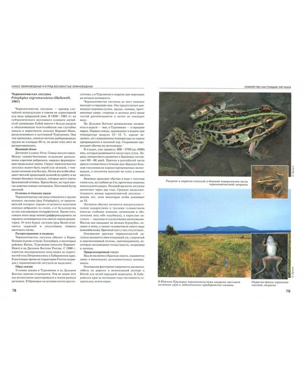 Земноводные и пресмыкающиеся России. Атлас-определитель