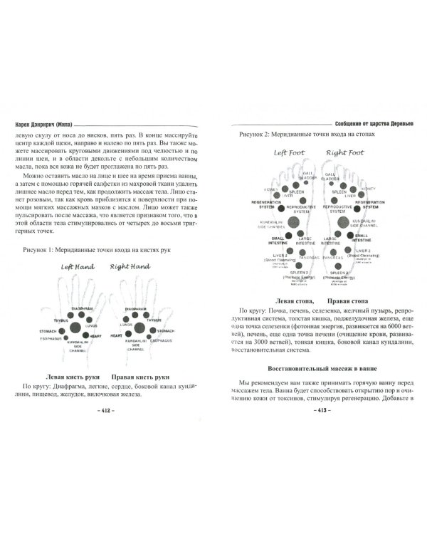 Восхождение в танец единства. Сообщение от царства деревьев