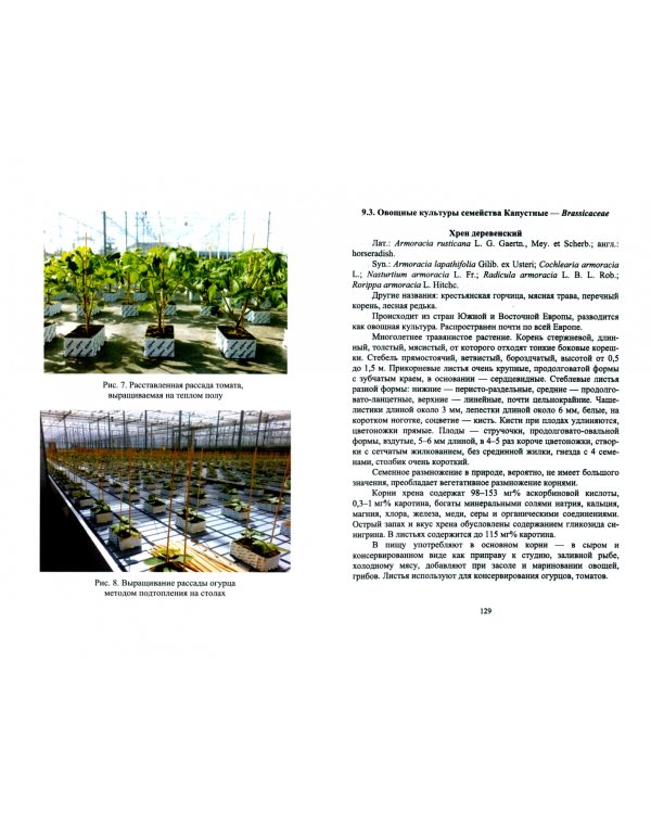 Практикум по овощеводству