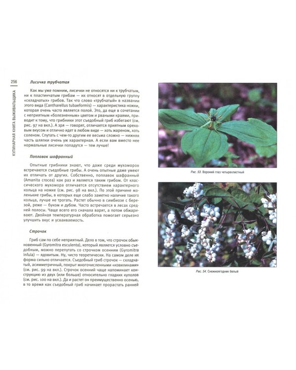 Кулинарная книга выживальщика. Остаться в живых. В лесу, в пустыне, на берегу. Разводим огонь, добываем воду, готовим еду в экстримальных условиях