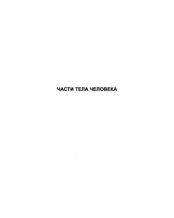 Анатомия человека в графологических структурах