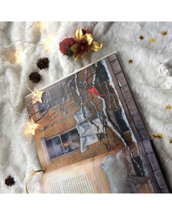 Дары волхвов. Снежная королева. Комплект в коробке (количество томов: 2)