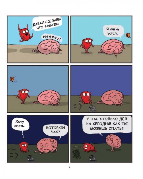 Сердце и мозг. Тайная жизнь внутренних органов