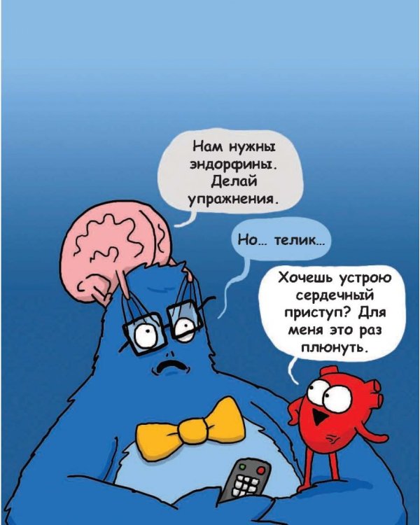 Сердце и мозг. Тайная жизнь внутренних органов