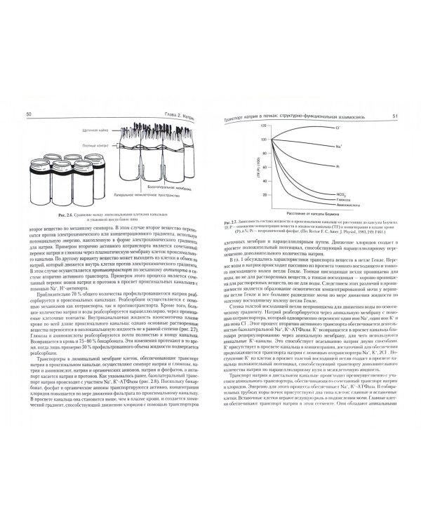 Патофизиология почки