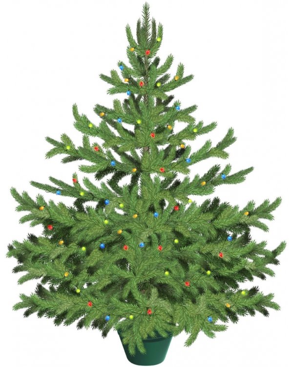 Набор для творчества "Самая компактная ёлка. Укрась своими руками"