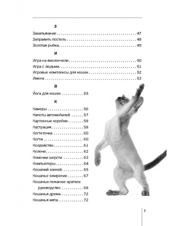 Как быть кошкой