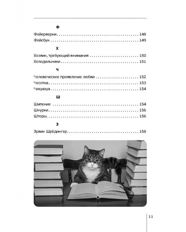 Как быть кошкой